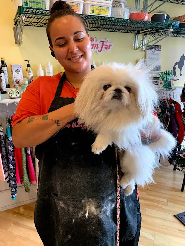 Dog Grooming To Wag For - Boutique & Grooming Santa Monica