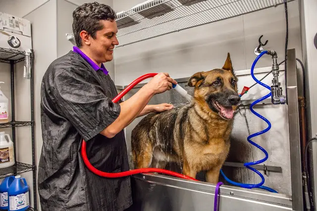 Pet vet Wagly Veterinary Hospital & Pet Campus | Irvine & Tustin Orange
