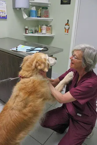 Dog breeder Northwood Animal Hospital Huntington Beach