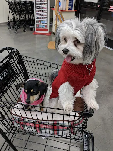 Dog breeder Petco Fresno