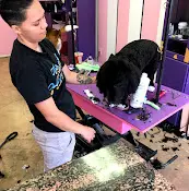 Pet vet Viva la Pooch - Pet Salon Vista