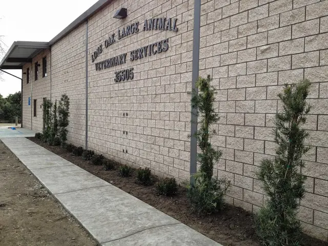 Pet vet Lone Oak Large Animal Vet Services Visalia