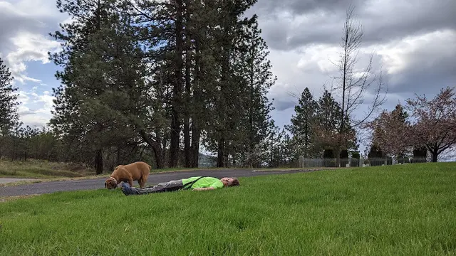 Dog Park Military Cemetery Trailhead Spokane