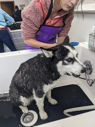 Dog Grooming Animal House Self Service Dog Grooming Beaverton