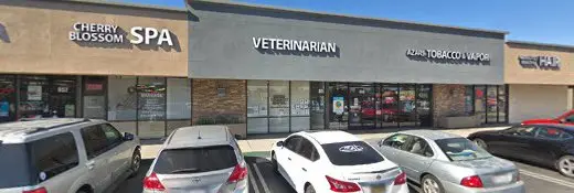 Dog breeder Oxnard Veterinary Hospital Oxnard