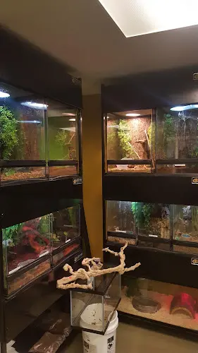 Pet boarding service Regal Reptiles Fresno