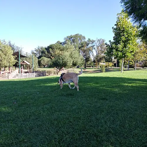 Dog Park Valley Glen Community Park South Gate