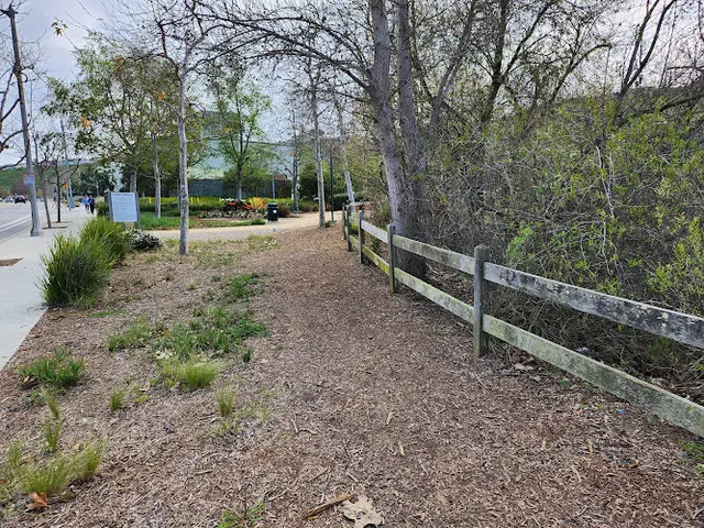 Dog Park Spruce Park At Playa Vista Los Angeles