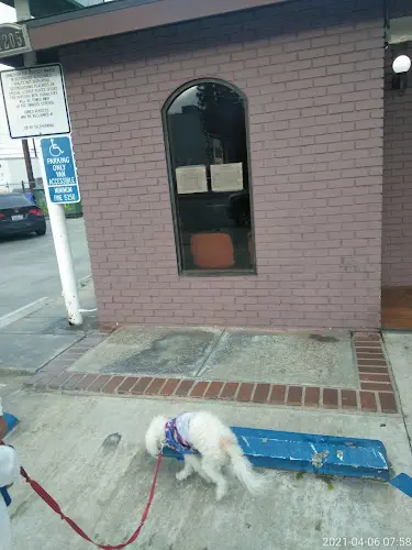Dog day care center Hollydale Veterinary Hospital South Gate