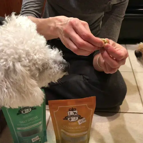 Pet vet The Doodle (formerly YUBI Happy Pet) San Francisco