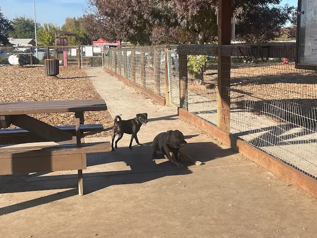 Dog Park Sherwood Dog Park Clovis