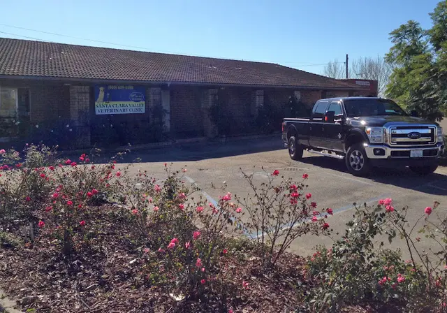 Pet vet Santa Clara Valley Veterinary Ventura