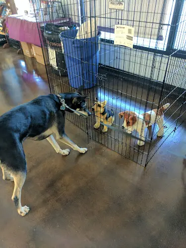 Pet boarding service Centinela Feed & Pet Supplies Burbank