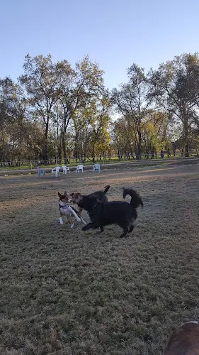 Dog Park Auburn Ravine Dog Park Roseville