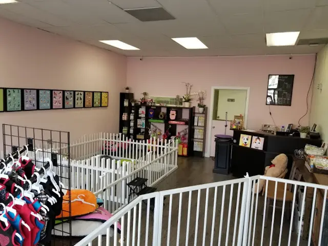 Dog Grooming DEBBIE'S GROOMING Los Angeles