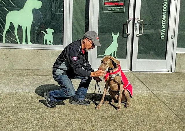 Dog trainer Downtown Dog Lounge Seattle