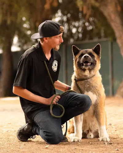 Dog day care center Better K9 Pet Resort - Riverside Location Moreno Valley
