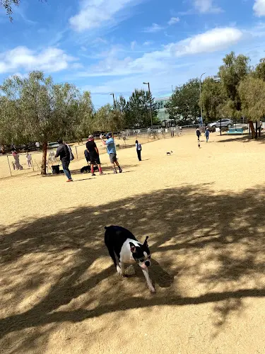 Dog Park Boneyard Dog Park Inglewood
