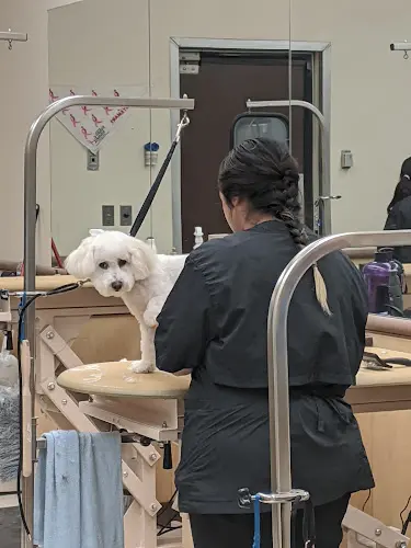 Rescue & Shelter PetSmart Pasadena