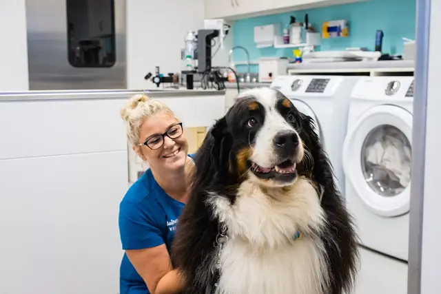 Pet vet Seatown Veterinary Care Kirkland