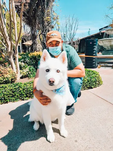 Dog day care center Pawlished Paws Boutique & Spa Inc. Riverside