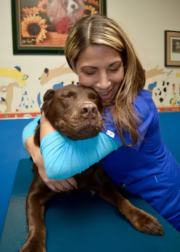 Pet vet Town and Country Animal Hospital Gresham