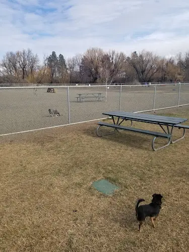 Dog Park Randall Dog Park Yakima