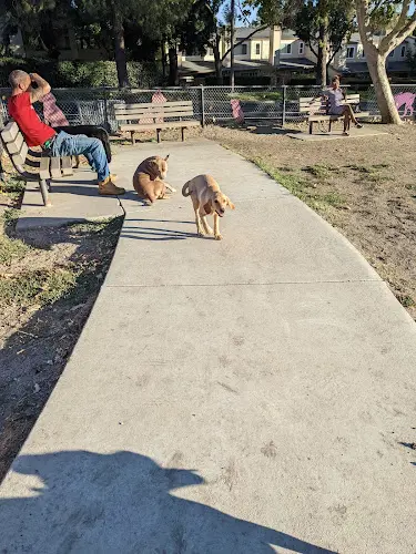 Dog Park Dougherty Hills Dog Park Livermore
