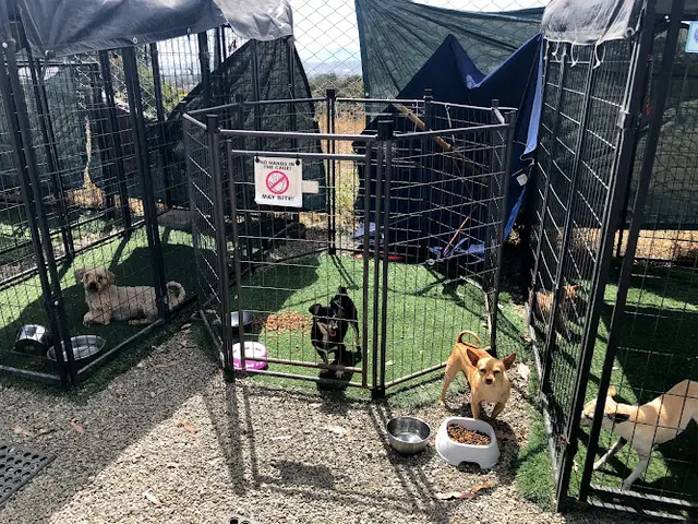 Pet boarding service Jelly's Place Richmond