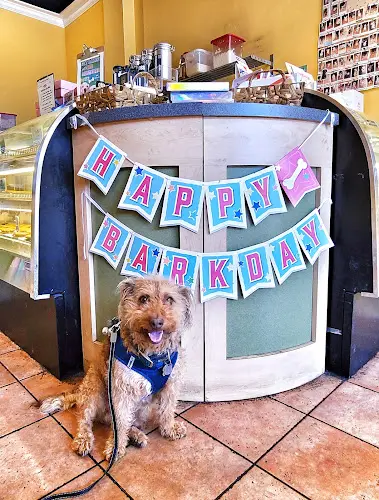 Pet vet The Dog Bakery - Fresh Baked Treats & Dog Birthday Cakes Pasadena