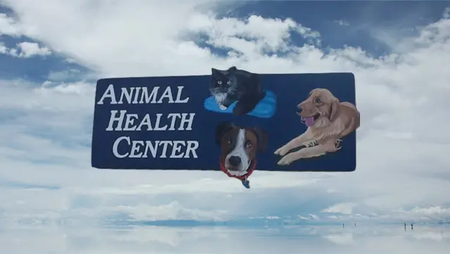 Pet vet Animal Health Center Salinas