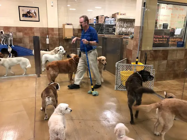 Rescue & Shelter PetSmart West Covina