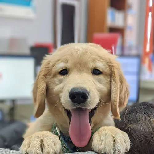 Pet vet Black Mountain Road Pet Clinic San Diego