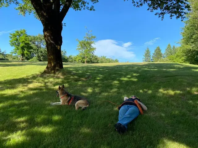 Dog trainer Assembly of the Wandering Shepherd Gresham