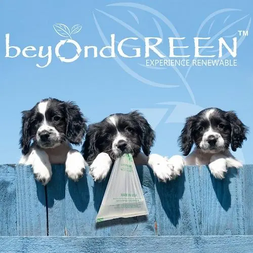 Pet boarding service beyondGREEN biotech, Inc. Santa Ana