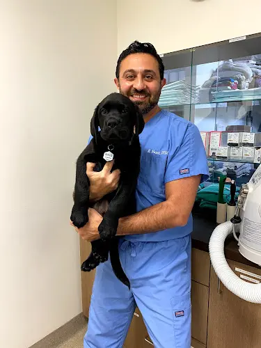 Pet vet Beverly Robertson Veterinary Clinic Los Angeles