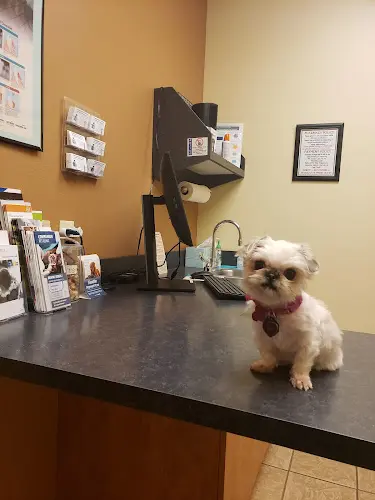 Rescue & Shelter Crestwood Court Veterinary Clinic Vancouver