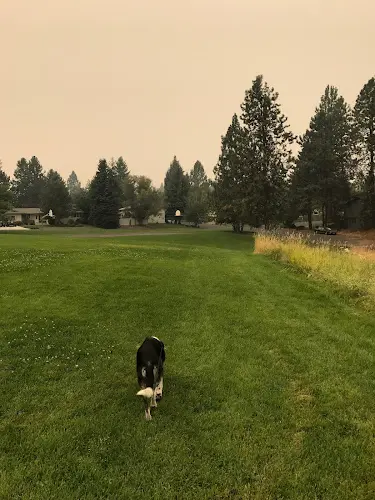 Dog Park Camelot Park Spokane