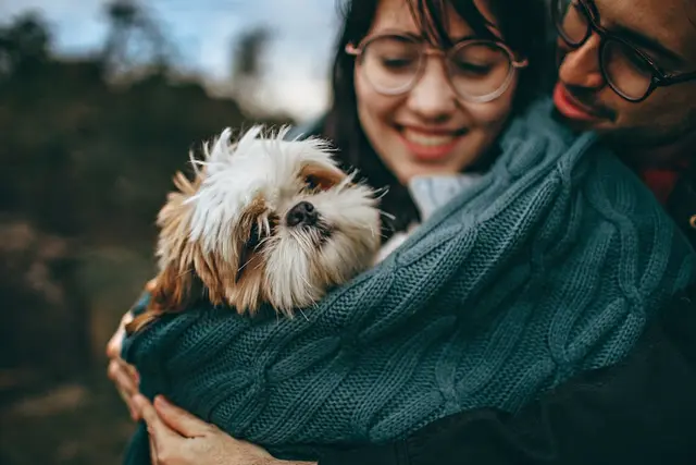 Pet vet North County Animal Hospital Vancouver