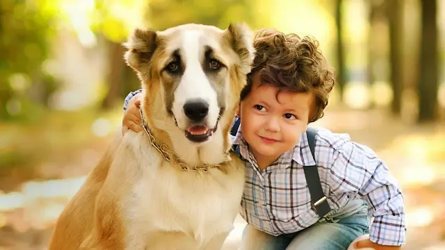 Pet vet Hawthorne Dog & Cat Hospital Torrance
