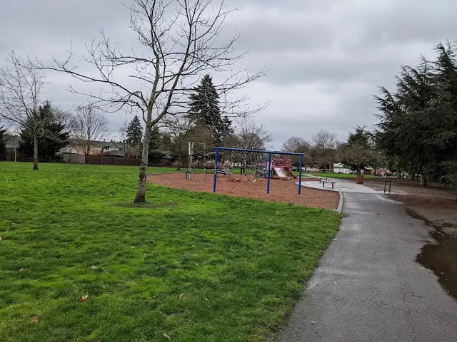 Dog Park Downs Neighbours Park Vancouver