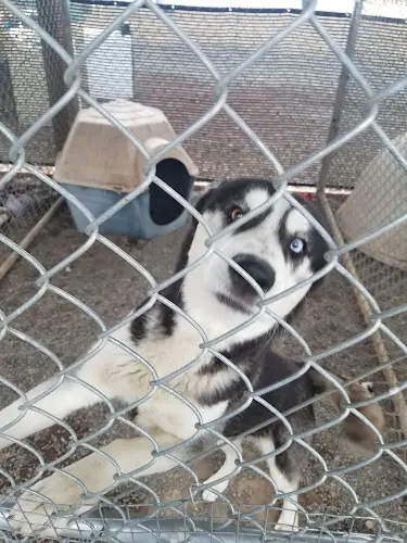 Rescue & Shelter BrightSide Animal Center (formerly Humane Society of Redmond) Bend
