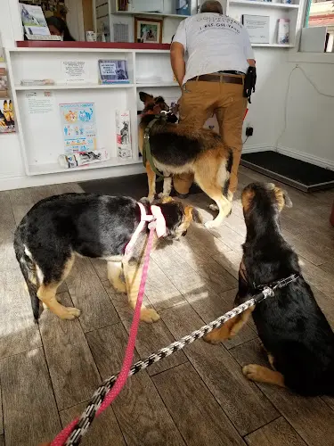 Pet vet El Cerrito Pet Hospital Richmond
