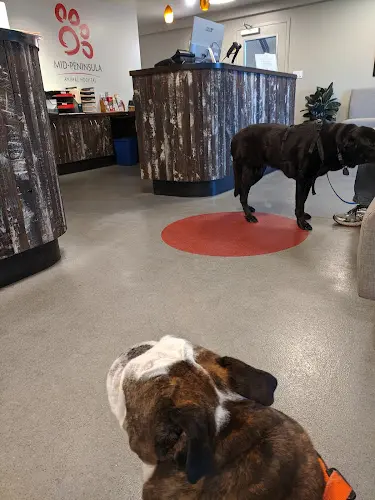 Pet vet Mid-Peninsula Animal Hospital San Mateo