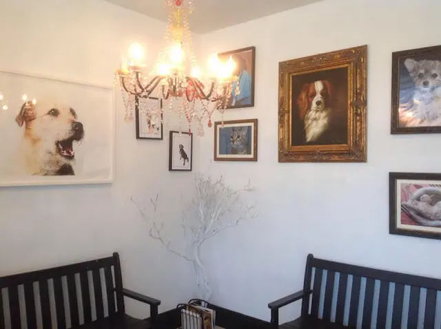 Pet vet The Village Vet Glendale