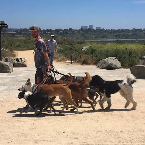 Dog trainer OC Pup Scouts Mission Viejo