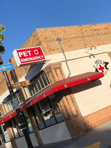 Pet vet Pet Emergency Treatment Services: Barlia Michael DVM Richmond