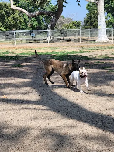 Dog Park Home Run Dog Park Downey