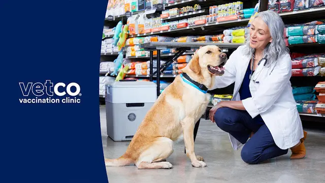 Rescue & Shelter Petco Vaccination Clinic Riverside