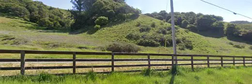 Rescue & Shelter Azaya Ranch Sanctuary Santa Rosa